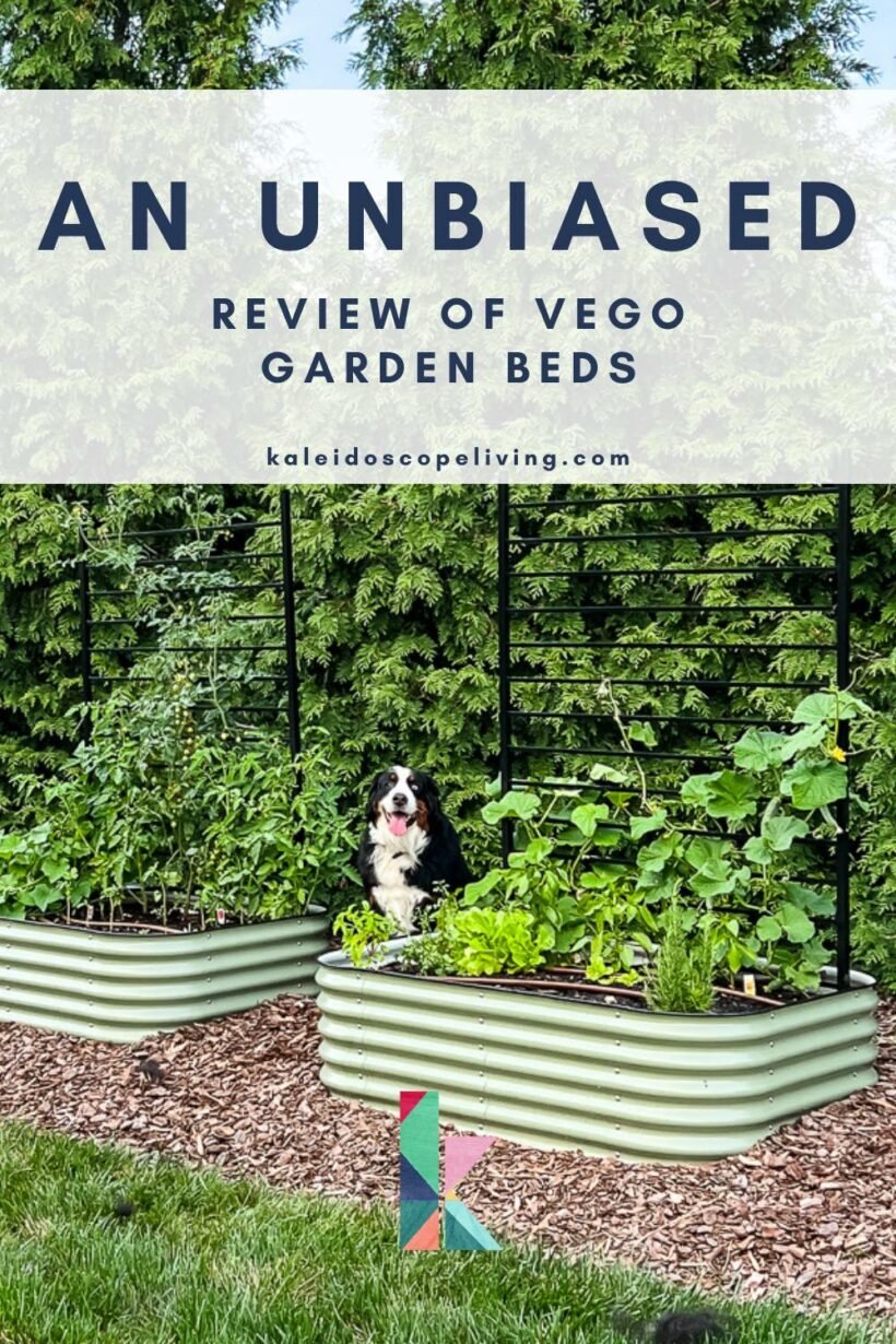 image of Vego garden beds in residential yard with text overlay "unbiased review of Vego garden beds"