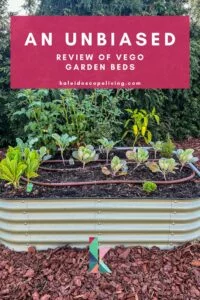 image of Vego garden beds in residential yard with text overlay "unbiased review of Vego garden beds"