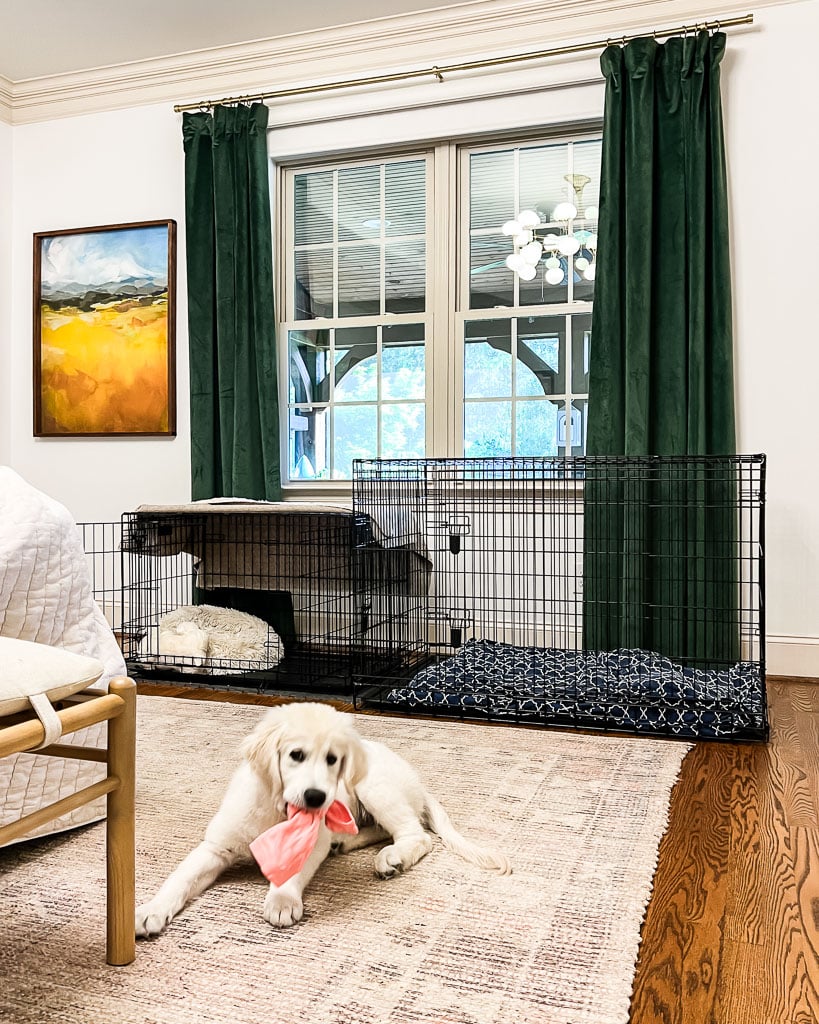 metal dog crates in bedroom